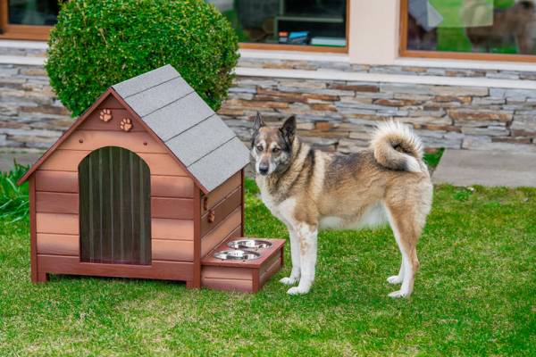 Къща за кучета - Като в Приказките